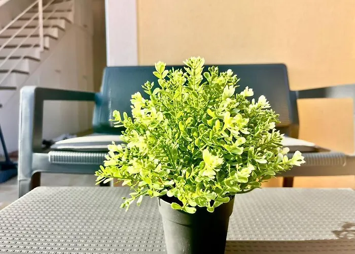 아파트 La Casa De Flores 코스타 데 안티과